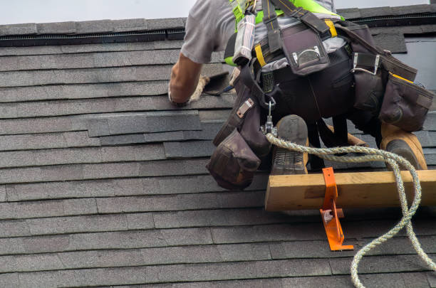 Best Chimney Flashing Repair  in Crystal, MN
